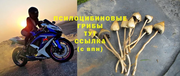 мдпв Беломорск