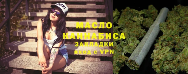 индика Баксан